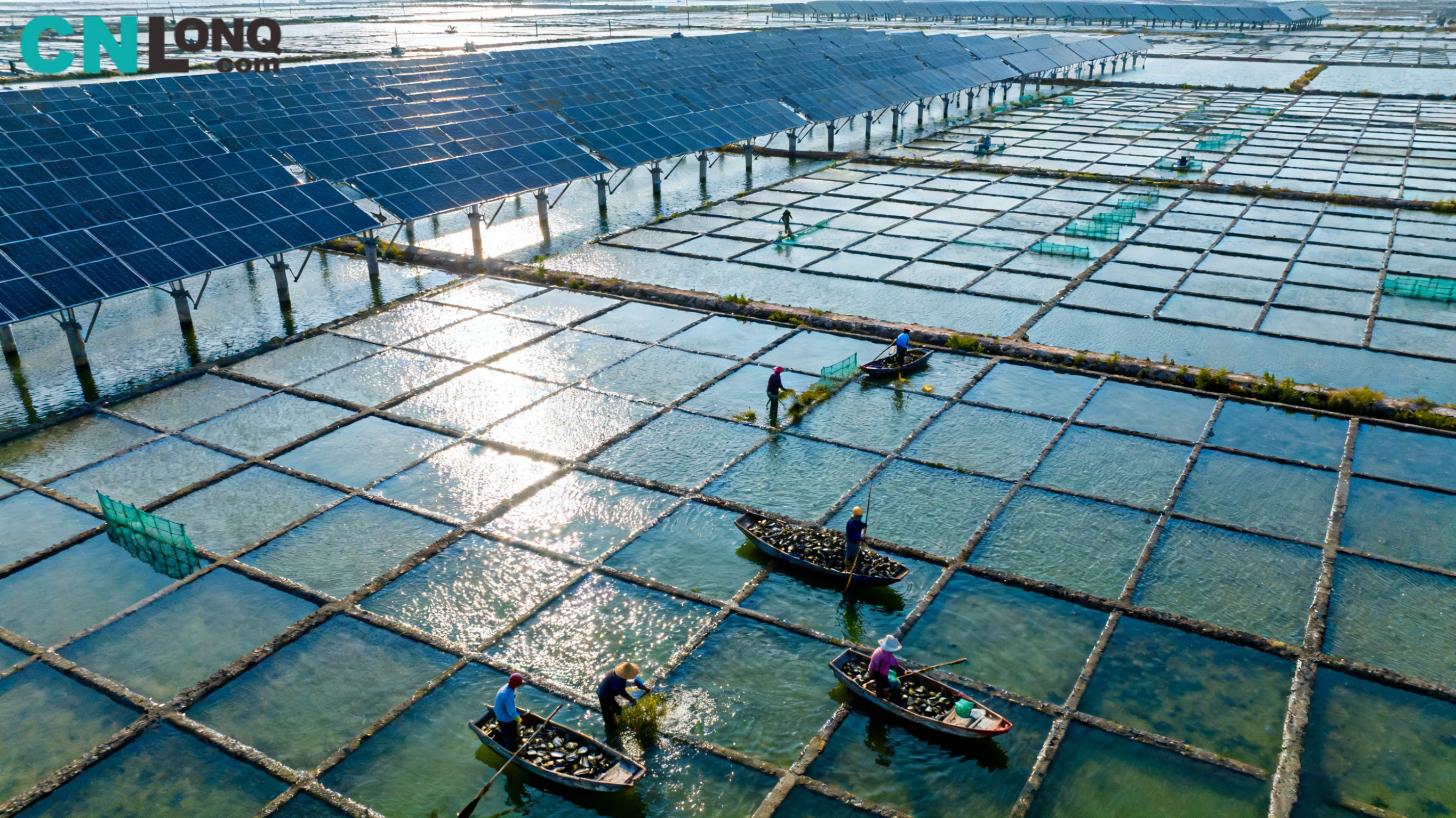 Вкупна инвестиција од 1,2 милијарди јени! Соленото поле Ксиндао Чингкоу 250 MW Проект „Рибарско-соларни комплементарни“ го пробива теренот